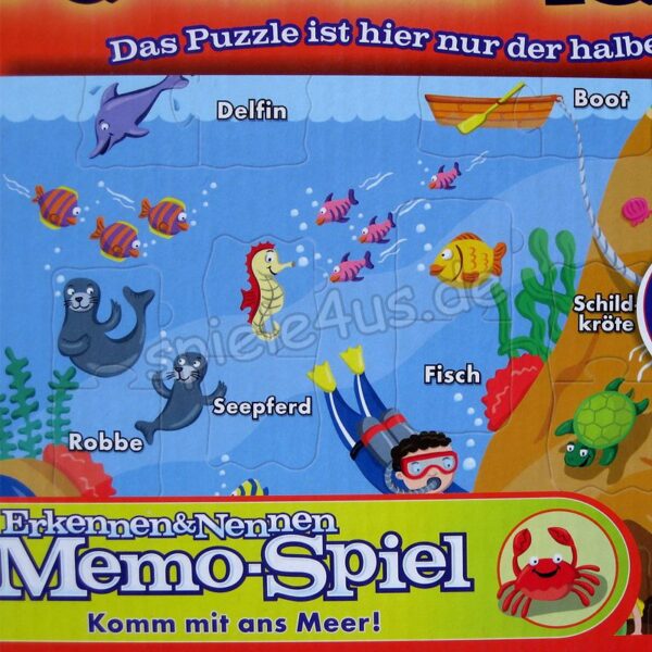 Cranium Erkennen und Nennen – Meer