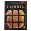 Fossil