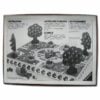 Äpfelchen Ravensburger Kinderspiel