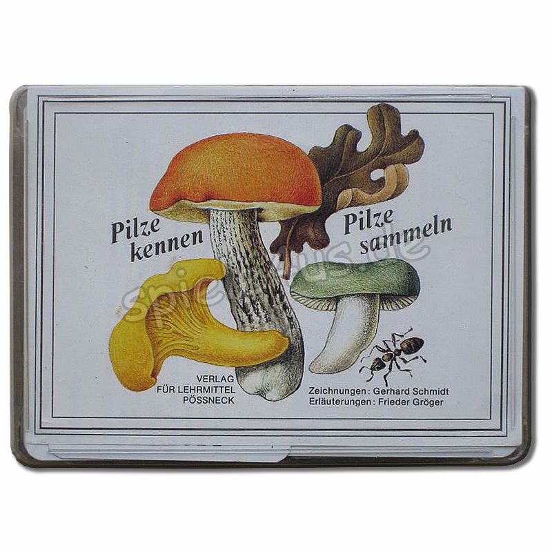 Pilze kennen Pilze sammeln Kartenspiel