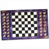 Dragonball Z Schach