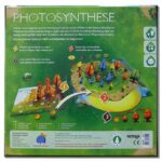 Photosynthese Ein Spiel um Licht und Schatten