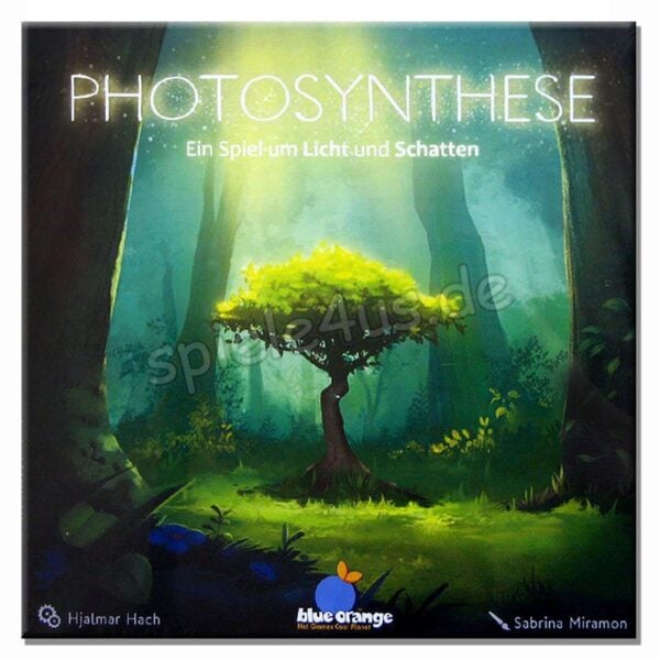 Photosynthese Ein Spiel um Licht und Schatten