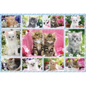 Katzenbabys 100 Teile Puzzle Schmidt 56135